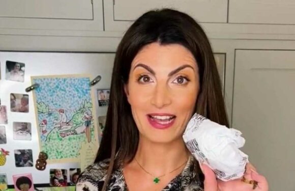 I live in the middle of nowhere and can’t get deliveries but figured out how to have a McDonald’s burger ANY time | The Sun