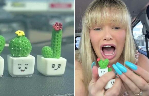 I ordered the weirdest things on SHEIN I could find – I'm obsessed with some of them but people says one looks VERY rude | The Sun