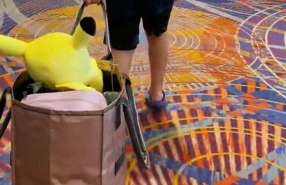 I tried the viral Instagram bag on wheels – it's a gamechanger & is so multifunctional for shopping, laundry & toys | The Sun