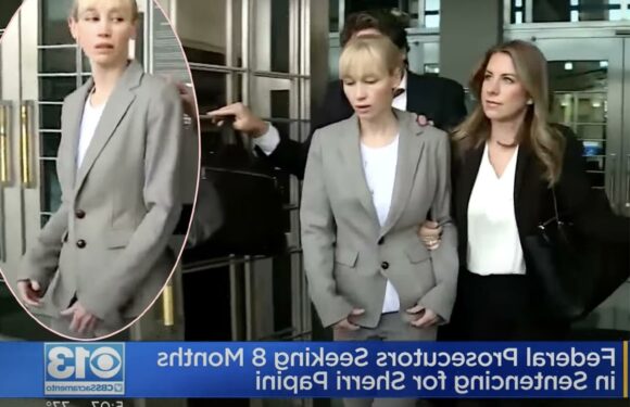 IRL Gone Girl Sherri Papini Asks Judge For Mercy, Says Kidnapping Hoax Shame Already 'Feels Like A Life Sentence'