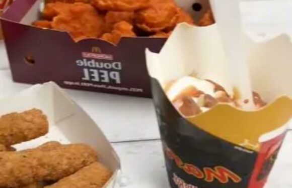 I’m a McDonald’s super fan and tried every new thing on the menu & here’s what you NEED to order | The Sun