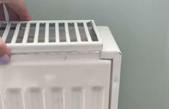 I’m a cleaning guru & your radiator is probably filthy but my easy method will have it sparkling in no time | The Sun