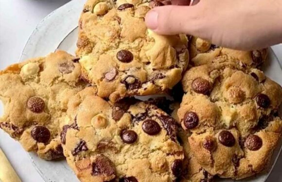 I'm a foodie and here's how to make the best chocolate chip cookies in an air fryer – they're delicious and take minutes | The Sun