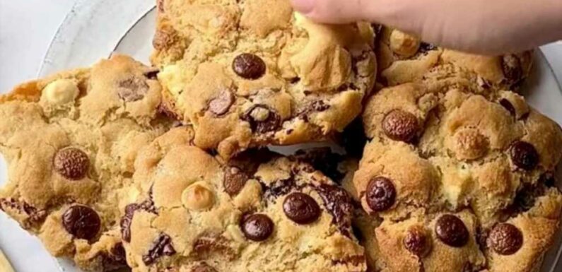 I'm a foodie and here's how to make the best chocolate chip cookies in an air fryer – they're delicious and take minutes | The Sun