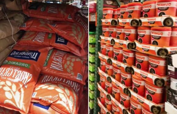 I’m a money saving mum and here’s what you should buy in bulk to save cash – not everything is worth it | The Sun