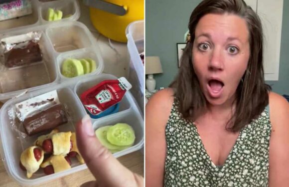 I’m a mum and my virtually free seven second trick will solve all your school lunch dramas | The Sun
