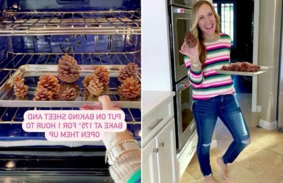 I’m a mum – my easy hack will make your home smell amazing instantly using something you’ll find at your local park | The Sun