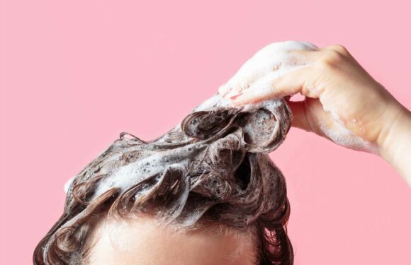 I’m a professional hairstylist – here’s the only time you should ever wash your locks | The Sun