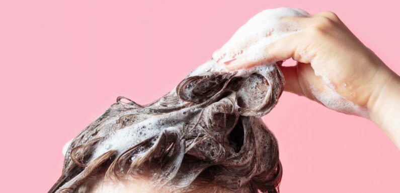 I’m a professional hairstylist – here’s the only time you should ever wash your locks | The Sun