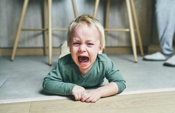 I’m a psychologist, there are four types of toddler tantrum parents need to know about & smarts ways to get over them | The Sun