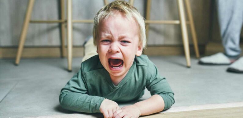 I’m a psychologist, there are four types of toddler tantrum parents need to know about & smarts ways to get over them | The Sun