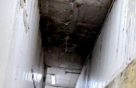 Inside disgusting ‘new’ build covered in mould that looks like horror movie