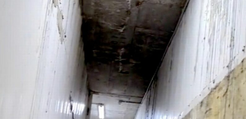 Inside disgusting ‘new’ build covered in mould that looks like horror movie