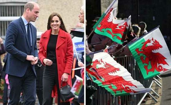 ‘It was imposed on us!’ Republicans slam Prince of Wales title