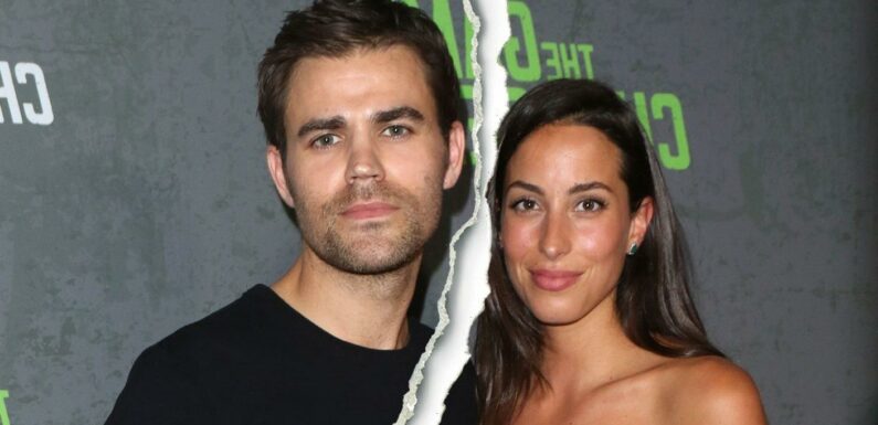 It's Over! Paul Wesley, Wife Ines de Ramon Split After 3 Years of Marriage