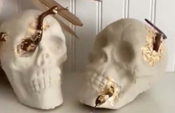 I'm a DIY pro – I used 2 items from Dollar Tree to make Halloween decor that's so cool you can leave it out all year | The Sun