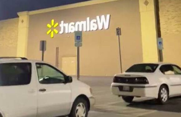 I'm a Walmart bargain hunter – I got 3 unmarked clearance finds for just $1 | The Sun