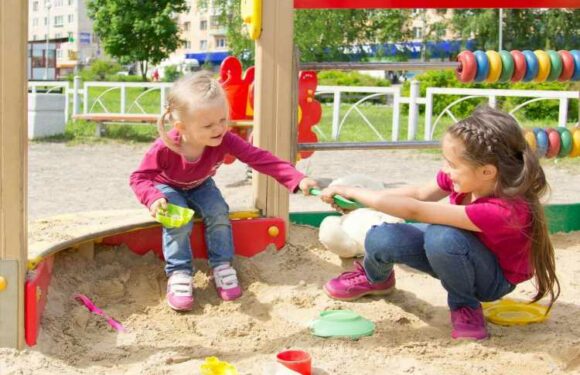 I'm a child behavioural expert – how to deal with your children fighting… plus the genius way to stop it in seconds | The Sun