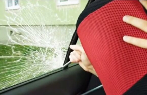 I'm a mom – I use 5 everyday household appliances in different ways to simplify my life and save me time in the kitchen | The Sun