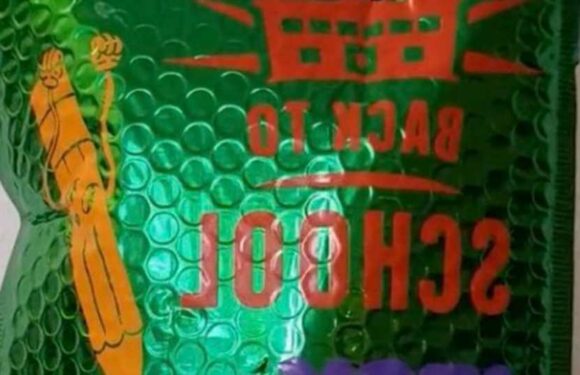 I'm a mom – I used seven Dollar Tree dupes to make my 8-year-old son the perfect back to school kit | The Sun