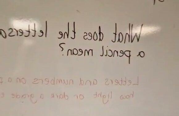 I'm a school cleaner and get a third of the teachers’ paycheck yet I still have to correct their grammar mistakes | The Sun