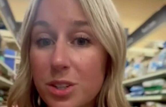 I'm a vet – the three things you should never give your dog and why rope toys are a big no | The Sun