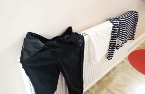 I'm an appliance pro… why you should never dry your washing on radiators – & huge energy bills is just one reason | The Sun