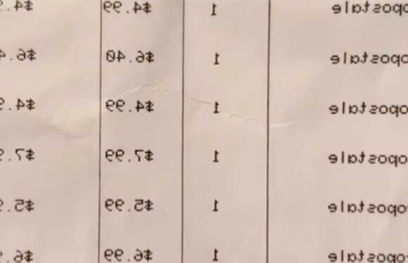 I'm midsize and bought six items for under $38 – the tops were super cute and affordable | The Sun