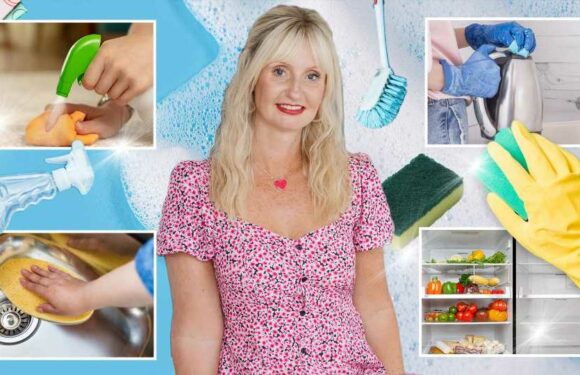 I'm the Queen of Clean – this is the one 40p household ingredient I swear by that makes almost everything sparkle | The Sun