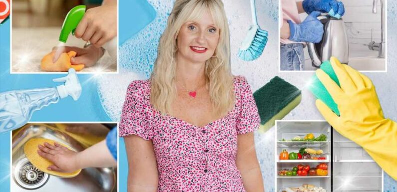 I'm the Queen of Clean – this is the one 40p household ingredient I swear by that makes almost everything sparkle | The Sun