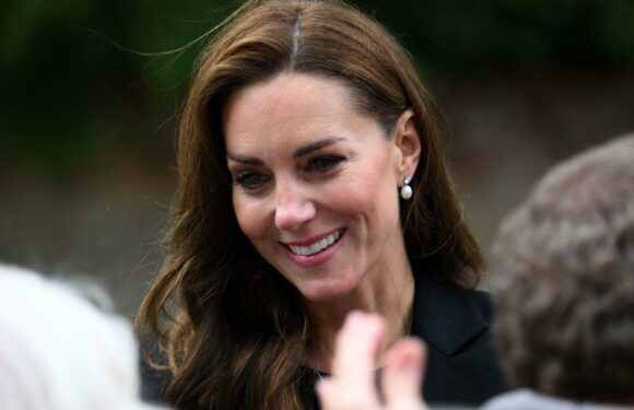 Kate Middletons sweet gesture to young girl who paid tribute to Queen with corgi teddy