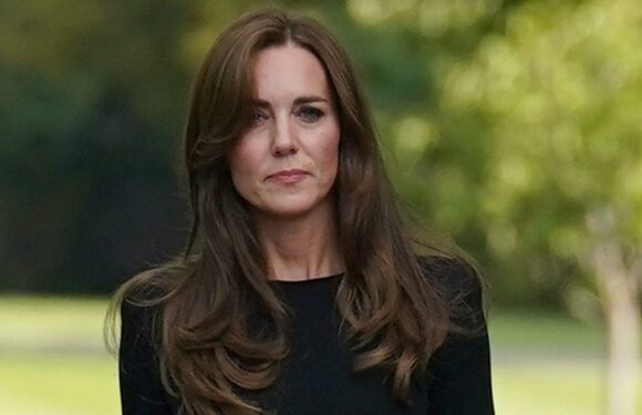 Kate reacts to William and Harry’s reunion: ‘You’ve got to come together’