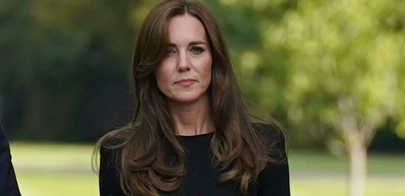 Kate reacts to William and Harry’s reunion: ‘You’ve got to come together’