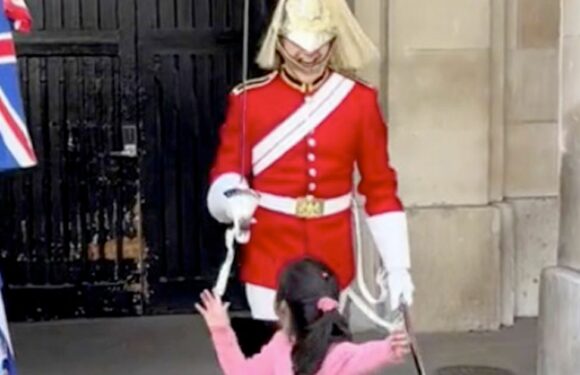 King’s Guard sends ‘traumatised’ girl running in fear after ordering her to move