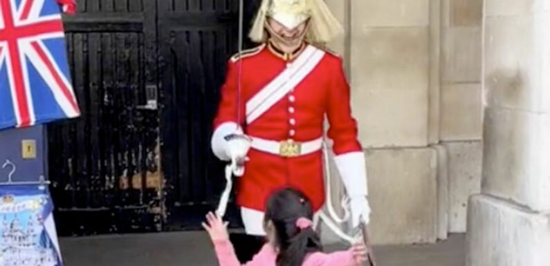 King’s Guard sends ‘traumatised’ girl running in fear after ordering her to move