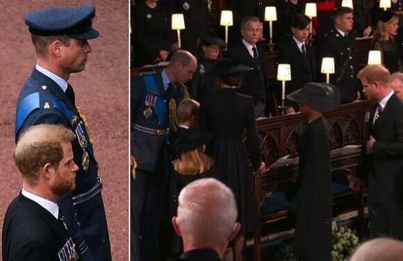 Lip reader reveals what Harry said to William before Queen's committal