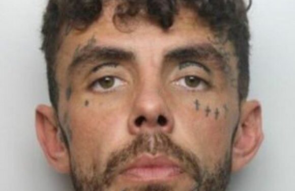 Man whose business told homeowners how not to get burgled is jailed for burglary