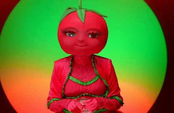 Masked Dancer fans convinced Tomato Sauce is One Show star after Irish dancing clue | The Sun
