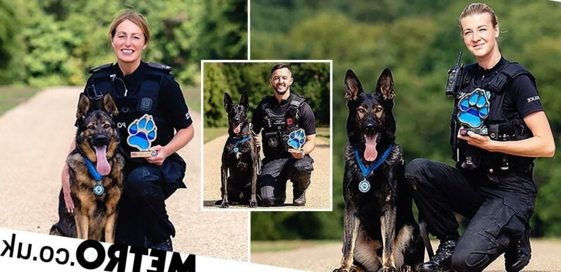 Meet the bravest police dogs in town