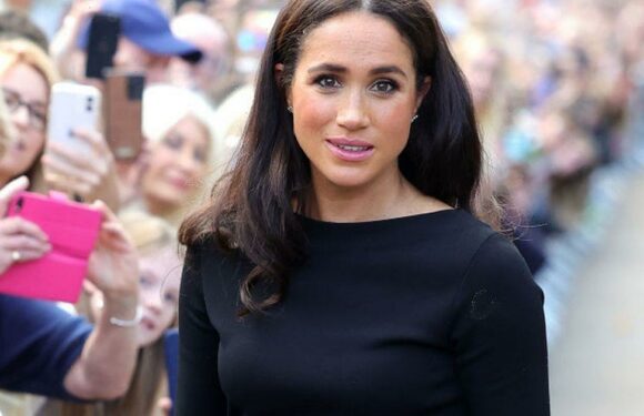 Meghan Markle praised for calm reaction after snub from woman in crowd