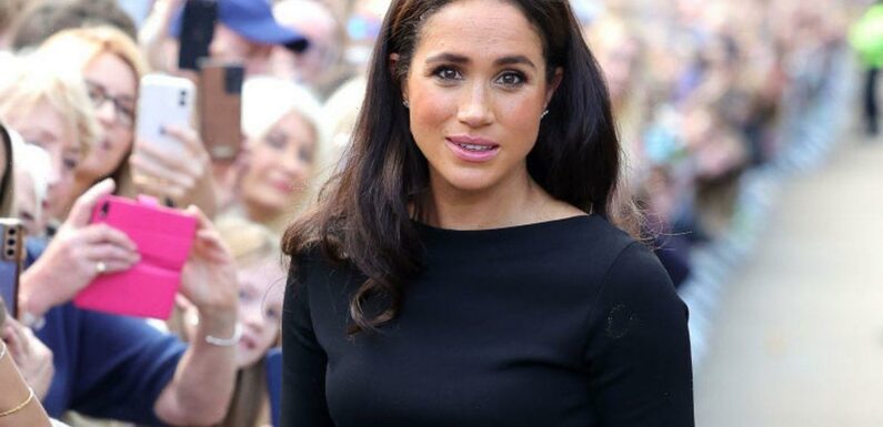 Meghan Markle praised for calm reaction after snub from woman in crowd