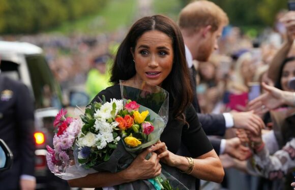 Meghan ‘snubbed’ by royal fan in awkward moment at Windsor walkabout