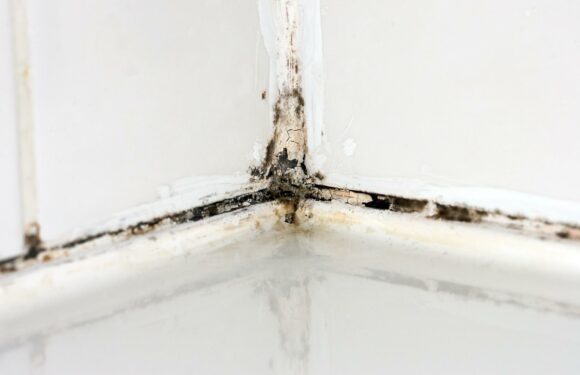 Mrs Hinch fans rave about 1p product which gets rid of mould virtually instantly on ANY surface | The Sun