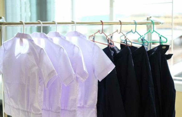 Mrs Hinch fans share the easy ways they get pen stains out of clothes and their hacks are perfect for school uniforms | The Sun