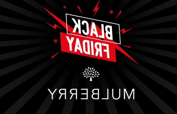 Mulberry Black Friday Sale 2022 | The Sun