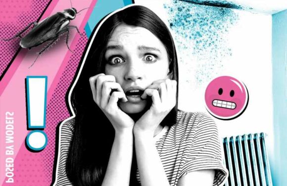 My flat is too disgusting to have friends over, but my landlord doesn't care | The Sun