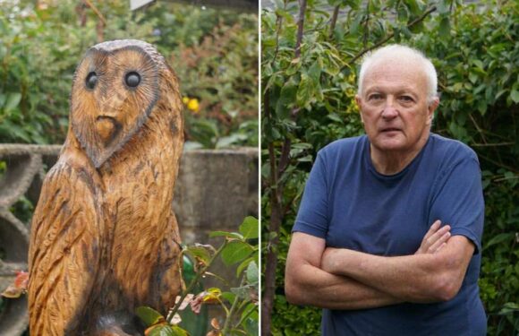 My neighbour has filled his garden with ridiculous statues – he’s scaring the birds away, I’m furious | The Sun
