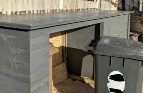 My neighbour installed a bin shed on my fence, she’s basically inviting thieves into my garden | The Sun