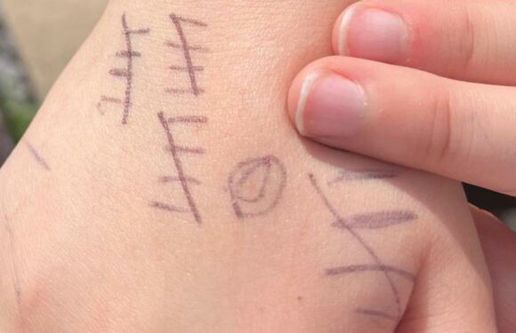 My son came home from school with marks all over his hand… I was horrified when he told me what they meant | The Sun