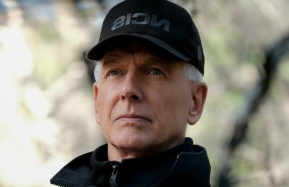 NCIS star Mark Harmons surprising career before acting revealed